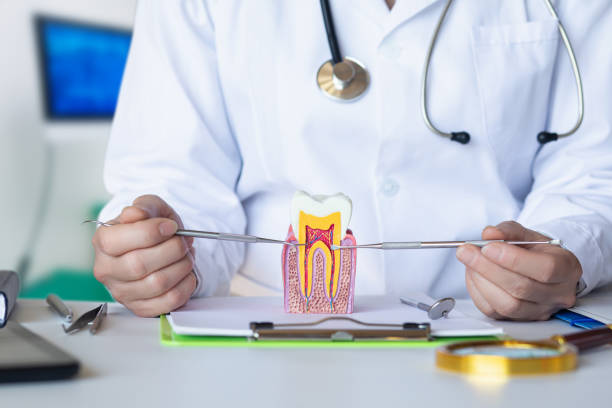 Best Dental Abscess Treatment in New Roads, LA